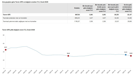 TÜİK: Tarımsal girdi fiyatları ocakta arttı