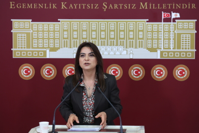 DEM Parti'li Koçyiğit: Hukuki düzenlemeler bütüncül perspektifle hayata geçirilmeli / Fotoğraflar