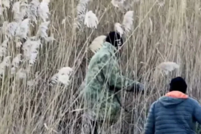 Burdur'da yasa dışı avcılık faaliyetine idari ceza