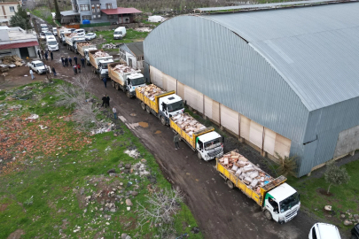 Şanlıurfa’da 50 ton bozuk tavuk eti ele geçirildi