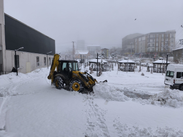 Van'da mart ayının sonunda kar yağışı (2)
