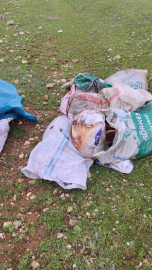 Şanlıurfa´da çuvallarda kesilmiş at başı bulundu