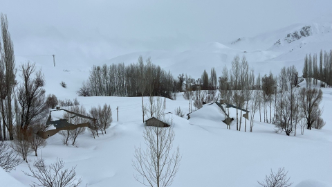 Yüksekova'da evler kara gömüldü