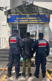 Çok yediğini iddia ettiği köpeğini ağaca asıp öldürdü (2)