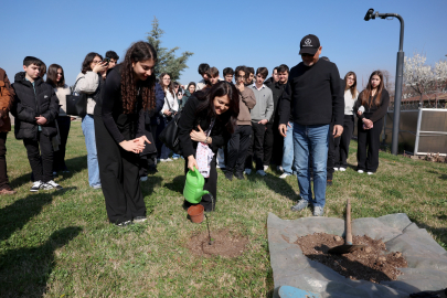 Yürüyen Köşk'ün simgesi olan çınardan elde edilen fide, Anıtkabir'de toprakla buluştu