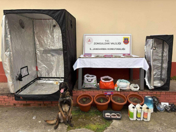 Zonguldak’ta uyuşturucu operasyonu; 8 tutuklama
