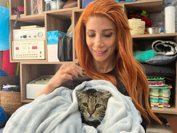 Engelli 3 kedi, veterinerde fizik tedaviyle yürümeye başladı