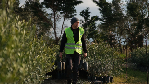 'Ağaç Adam'ın hedefi 1 milyon zeytin fidanı