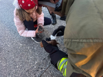 Kanala düşen iki yavru kedi kalp masajıyla hayata döndü