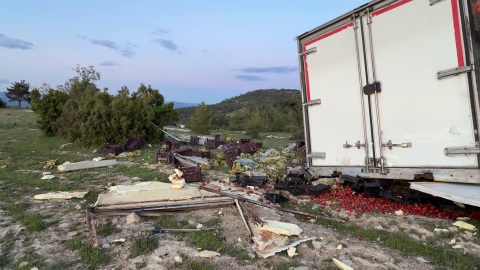 Freni boşalan sebze yüklü TIR ağaca çarparak durabildi