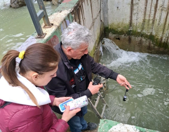 Derede ve balık havuzlarında toplu balık ölümlerine inceleme