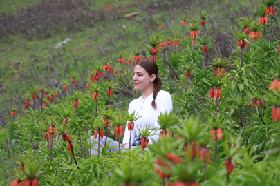 Muş'un zirveleri ters lalelerle renklendi