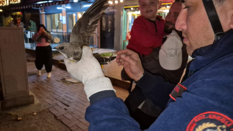 İpe dolanan ebabili kurtarmak için cadde trafiğe kapatıldı