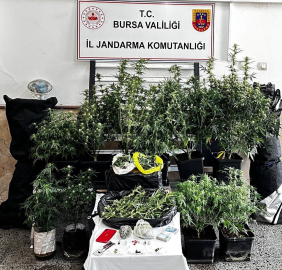 Bursa'da uyuşturucu operasyonu; 1 tutuklama