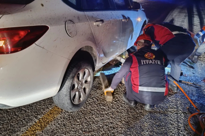 Sürüye çarpan otomobildeki 2 kişi yaralandı, 40 koyun öldü