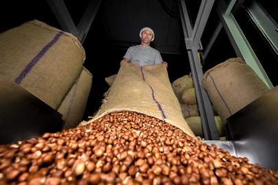 Doğu Karadeniz'den ilk 4 ayda 678 milyon dolarlık ihracat