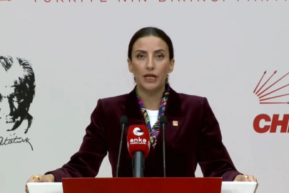 CHP'li Rızvanoğlu: Bu ülkenin ormanları sahipsiz değil