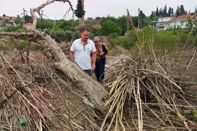 Tarihi Taşköprü'nün üzeri yine atıklarla kaplandı