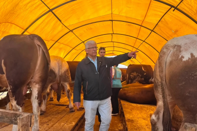 'Kurbanlık alırken küpe ve sağlık raporu mutlaka kontrol edilmeli'