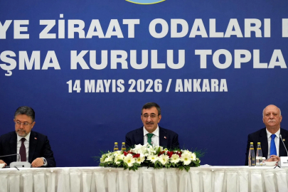 Cevdet Yılmaz: Tarımda yükselen yaş ortalamasını geriye çevirmemiz gerekiyor