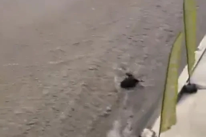 Ankara'da sağanak; alt geçit ve caddeler suyla doldu (2)