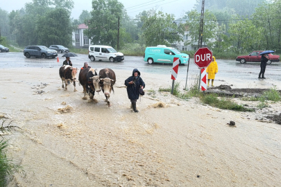 Bartın'da yağmur sonrası denizin rengi değişti (2)
