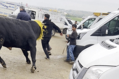 Canlı hayvan borsasında kaçan boğa paniğe neden oldu; o anlar kamerada