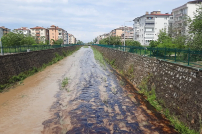 Kastamonu'da dereye kimyasal atık karıştı