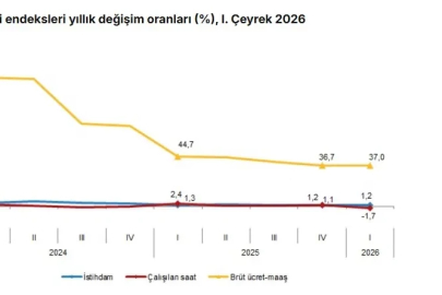 TÜİK: İstihdam endeksi yıllık yüzde 1,2 arttı
