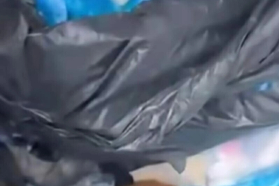 İzmir'de 33 kedinin ölü bulunması ile ilgili gözaltına alınan veteriner adliyede