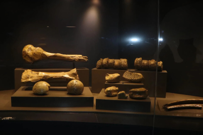500 bin yıllık mamut fosilinin de sergilendiği müzeyi yaklaşık 100 bin kişi gezdi / Ek fotoğraflar