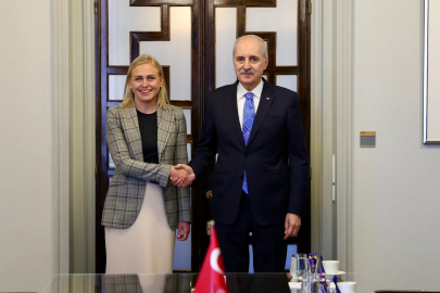 TBMM Başkanı Kurtulmuş, Finlandiya Dışişleri Bakanı Valtonen’i kabul etti / Geniş haber