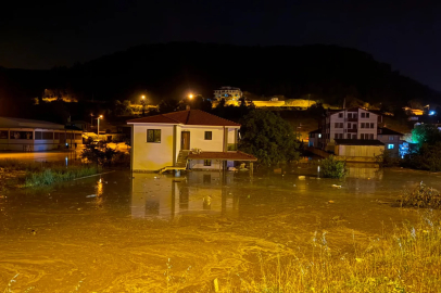 Sakarya'da sağanakta dere taştı; evleri ve tarım arazilerini su bastı
