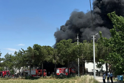 Denizli'de kauçuk fabrikasında yangın