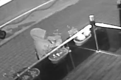 İş yerinin önüne ektiği çiçekler kökünden koparıldı; olay kamerada