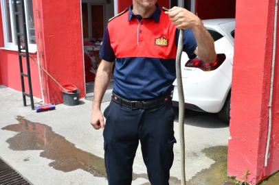 Aile Sağlığı Merkezi'ne giren yılanı itfaiye ekibi yakaladı