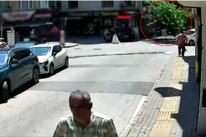 Devrilen tarihi çınar araca zarar verdi; yol trafiğe kapandı (2)