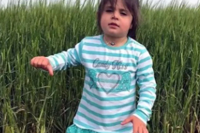 Leyla Aydemir davasında anne Şükran Aydemir dinlenecek