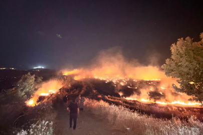 Hatay'da anız yangını, zeytin bahçelerine zarar verdi