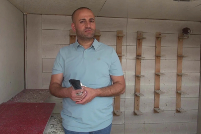 Sanal medya bağımlılığından güvercinler sayesinde kurtuldu