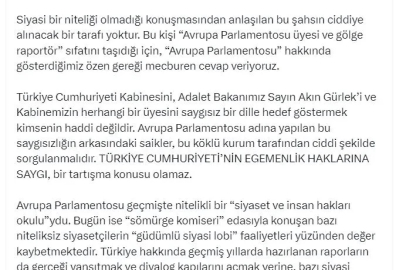AK Parti'li Çelik: Türkiye'ye dönük bağnaz siyasi dilin hiçbir hükmü yoktur