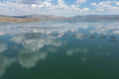 Denizi olmayan Kayseri’den 49 ülkeye balık ihracı