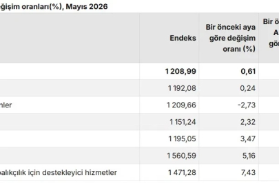 TÜİK: Tarım ürünleri üretici fiyatları mayısta arttı