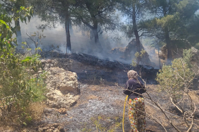 Kahramanmaraş’ta orman yangını