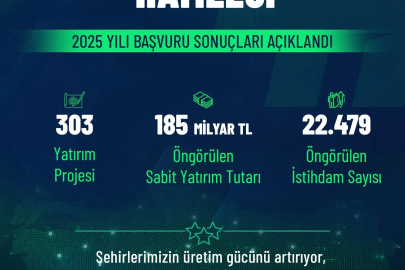 Yerel Kalkınma Hamlesi Teşvik Programı 2025 yılı çağrısı sonuçları belli oldu