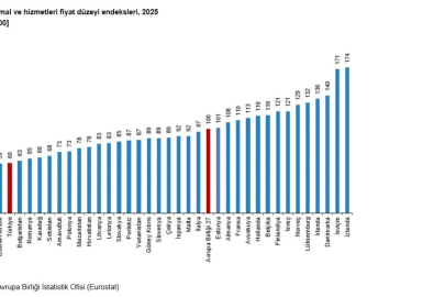 Türkiye'nin tüketim mal ve hizmetleri fiyat düzeyi endeksi 60 oldu